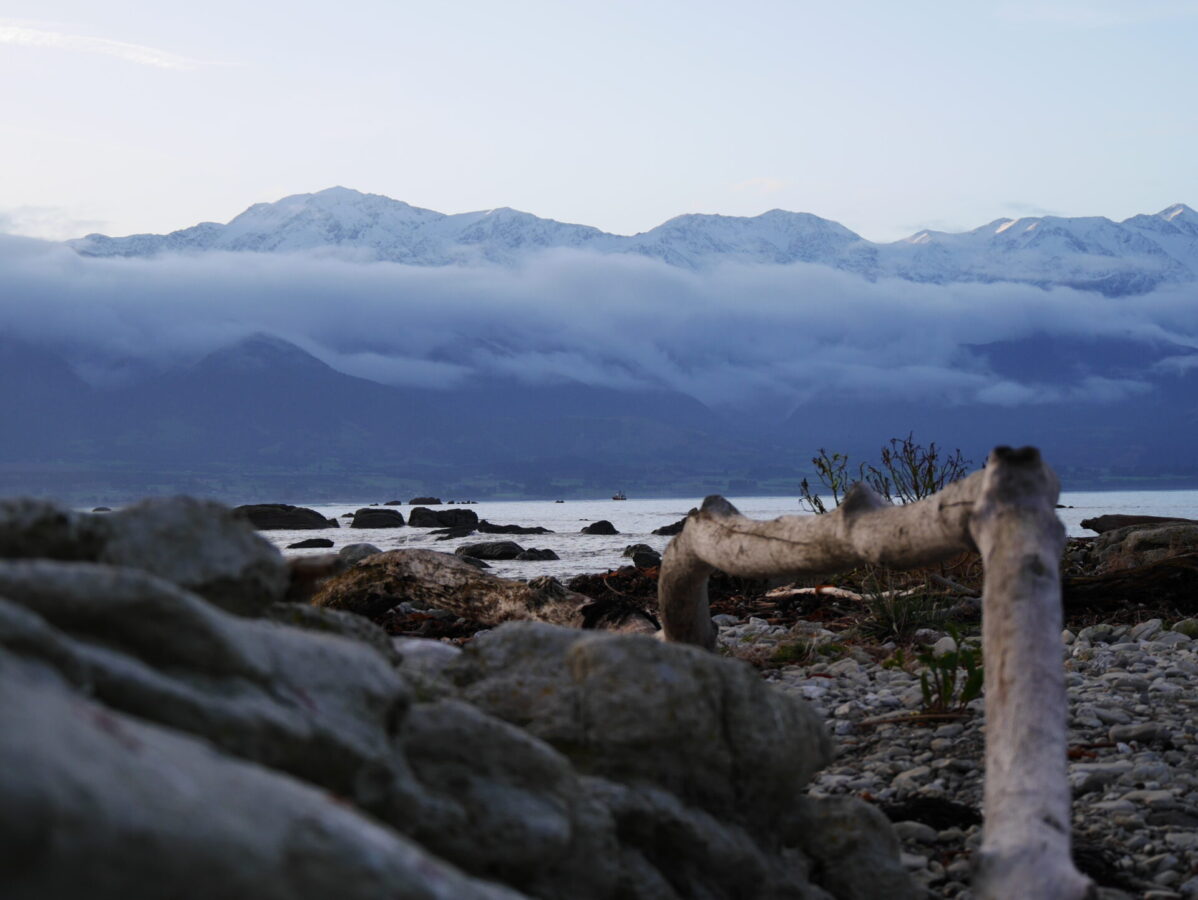 The Kaikoura Mountain Range towering over the shoreline in Kaikoura, NZ.