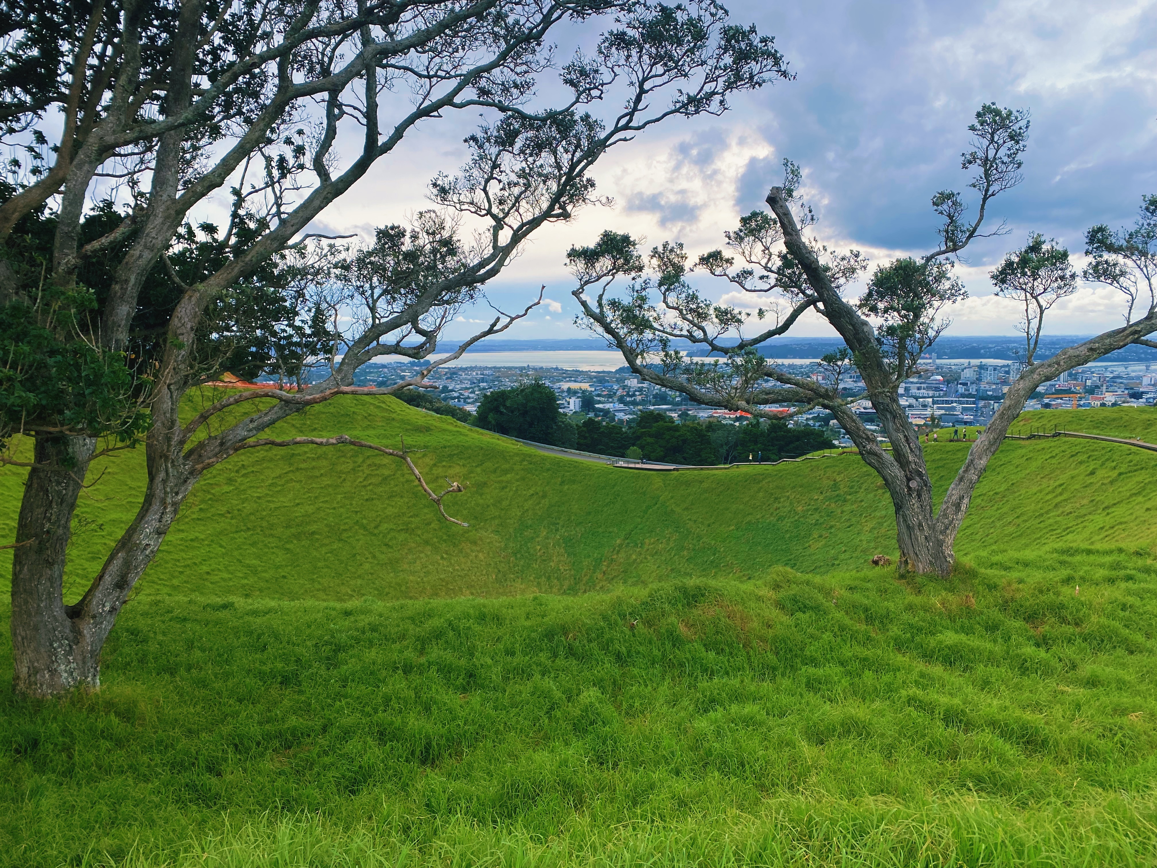 A view overlooking Auckland from the Mt. Eden volcano hike in Auckland, New Zealand.