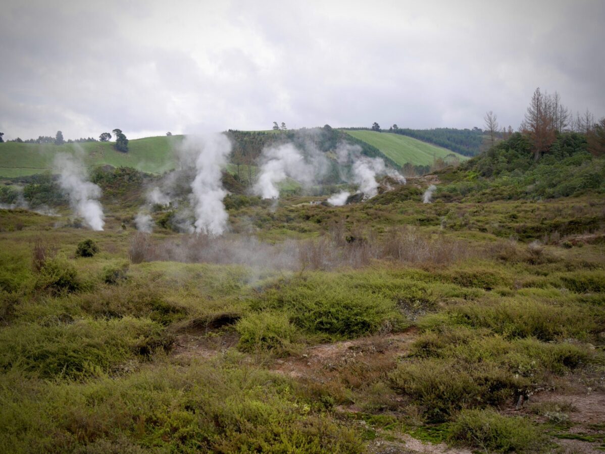 Geothermal vents near Lake Taupo, New Zealand.