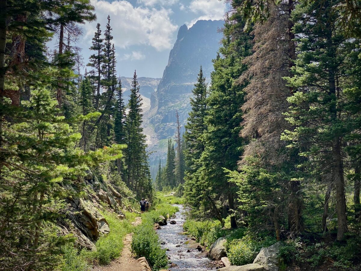 A hiking trail in Rocky Mountain National Park.