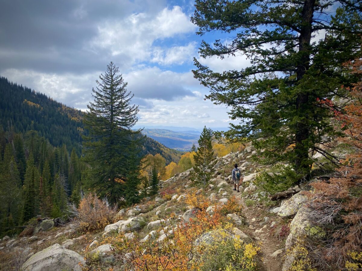 A hiking trail in the fall overlooking a mountain view.