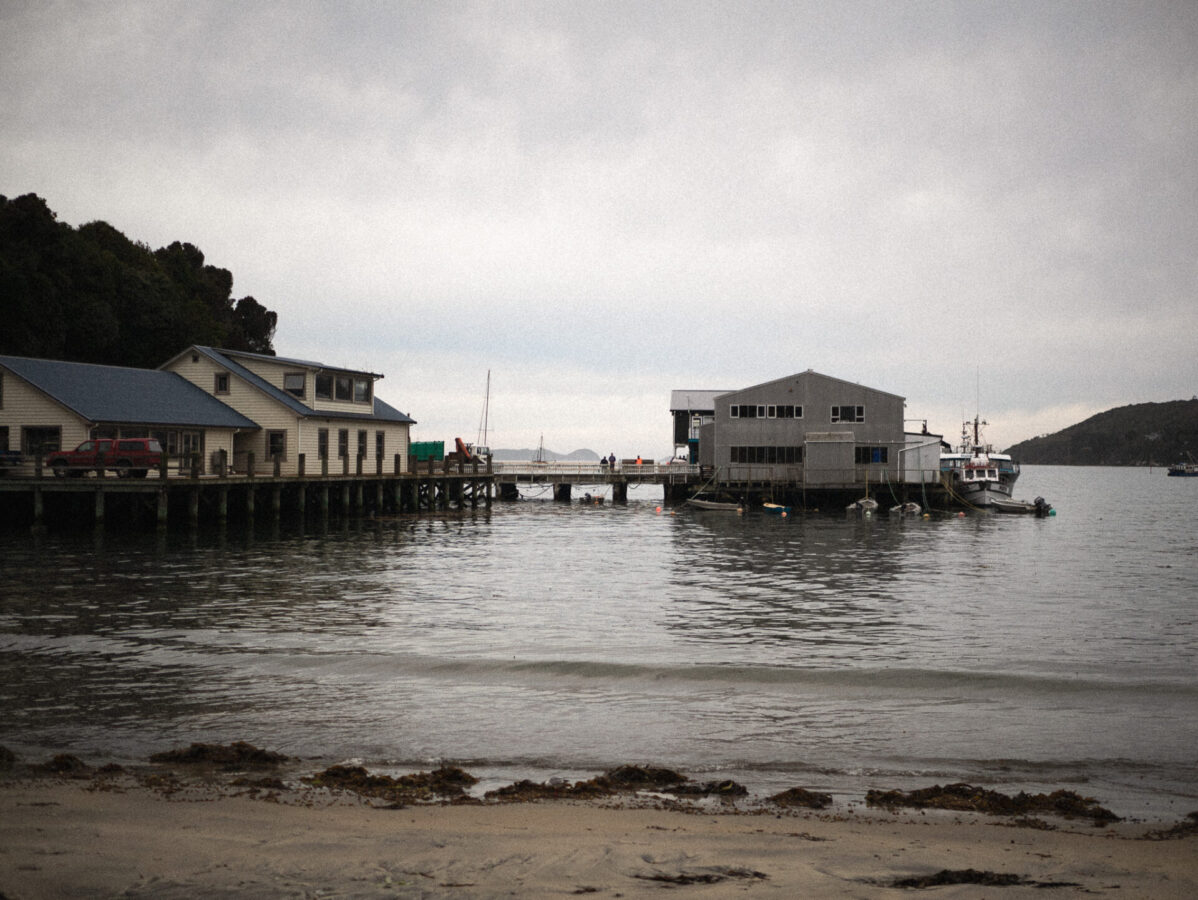 A view of the port harbor in Oban, New Zealand.