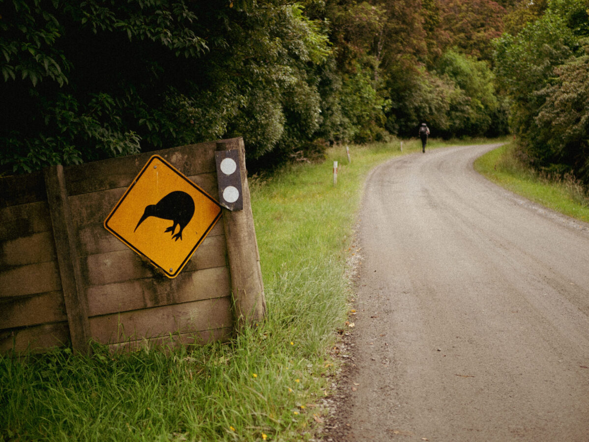 A dirt road leading to the start of the. Rakiura Track at Lee Bay, with a kiwi road sign on the side.