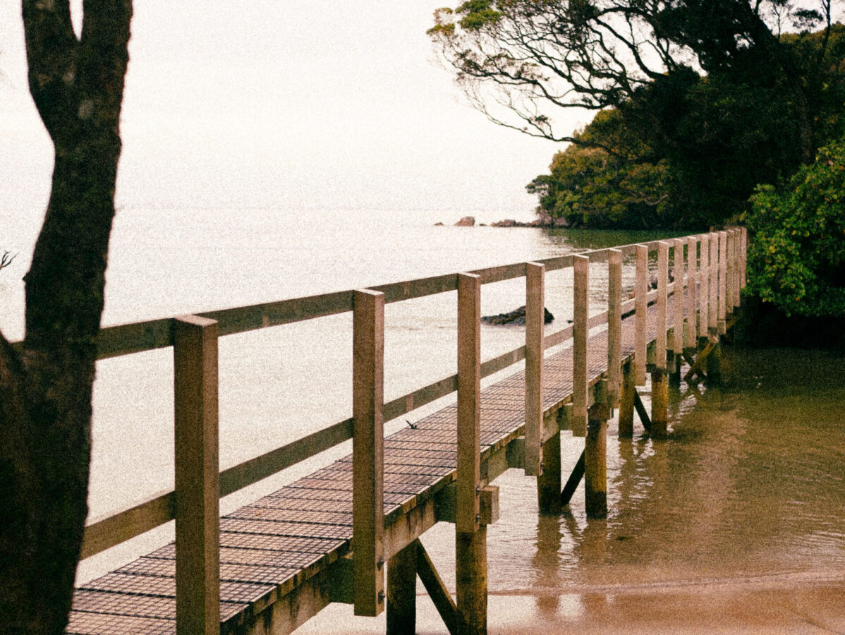 A bridge over a coastal section of the Rakiura Track, Stewart Island, NZ.