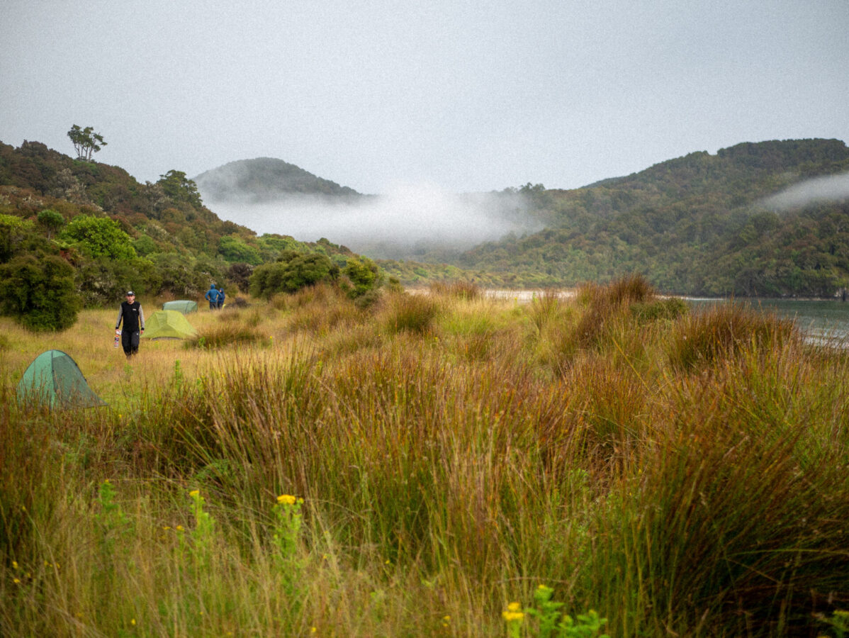 A campsite at Maori Beach along the Rakiura Track on Stewart Island, New Zealand.