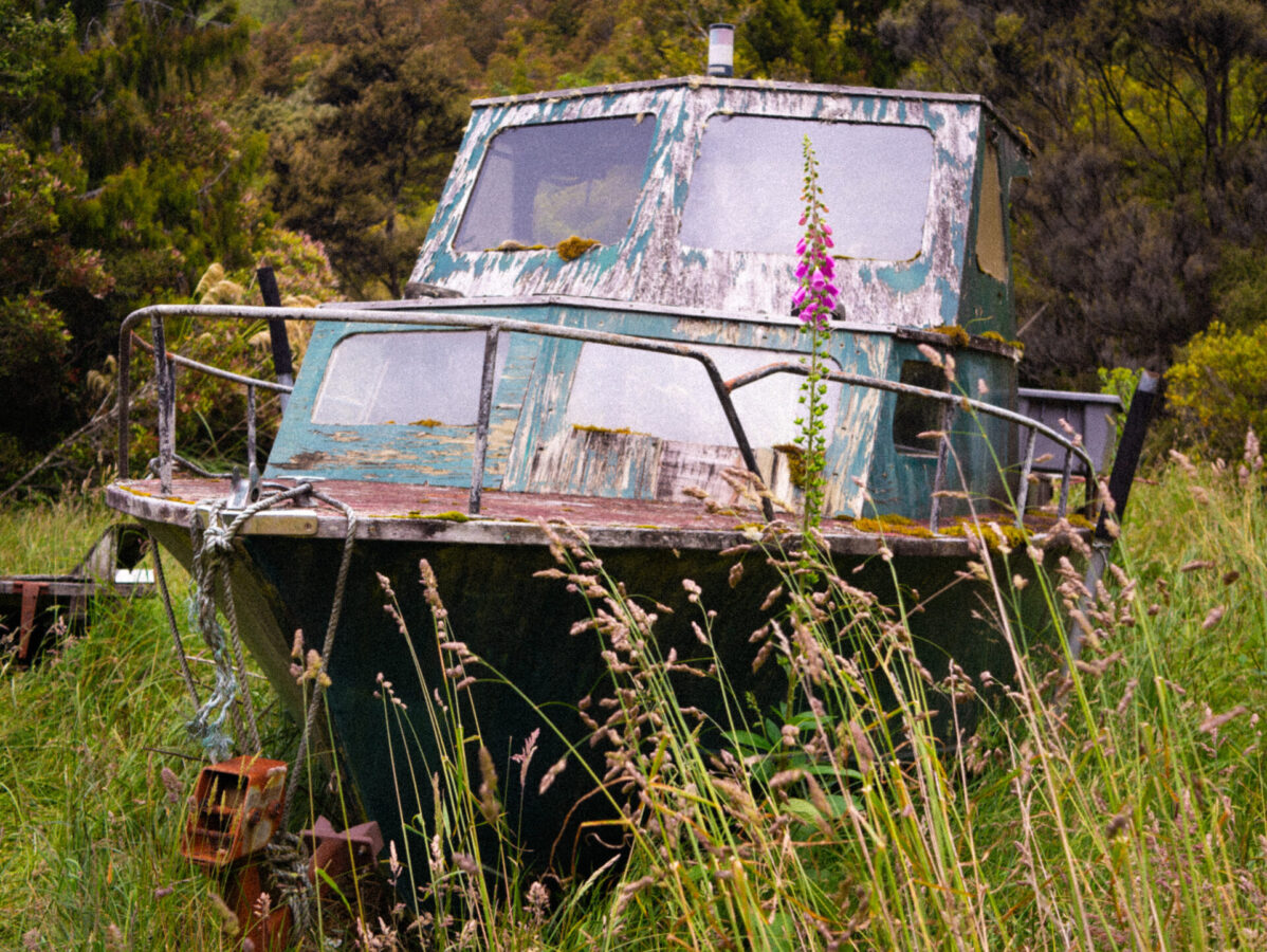 An old, antique boat in a field of grass near the end of the Rakiura Track on Stewart Island, New Zealand.