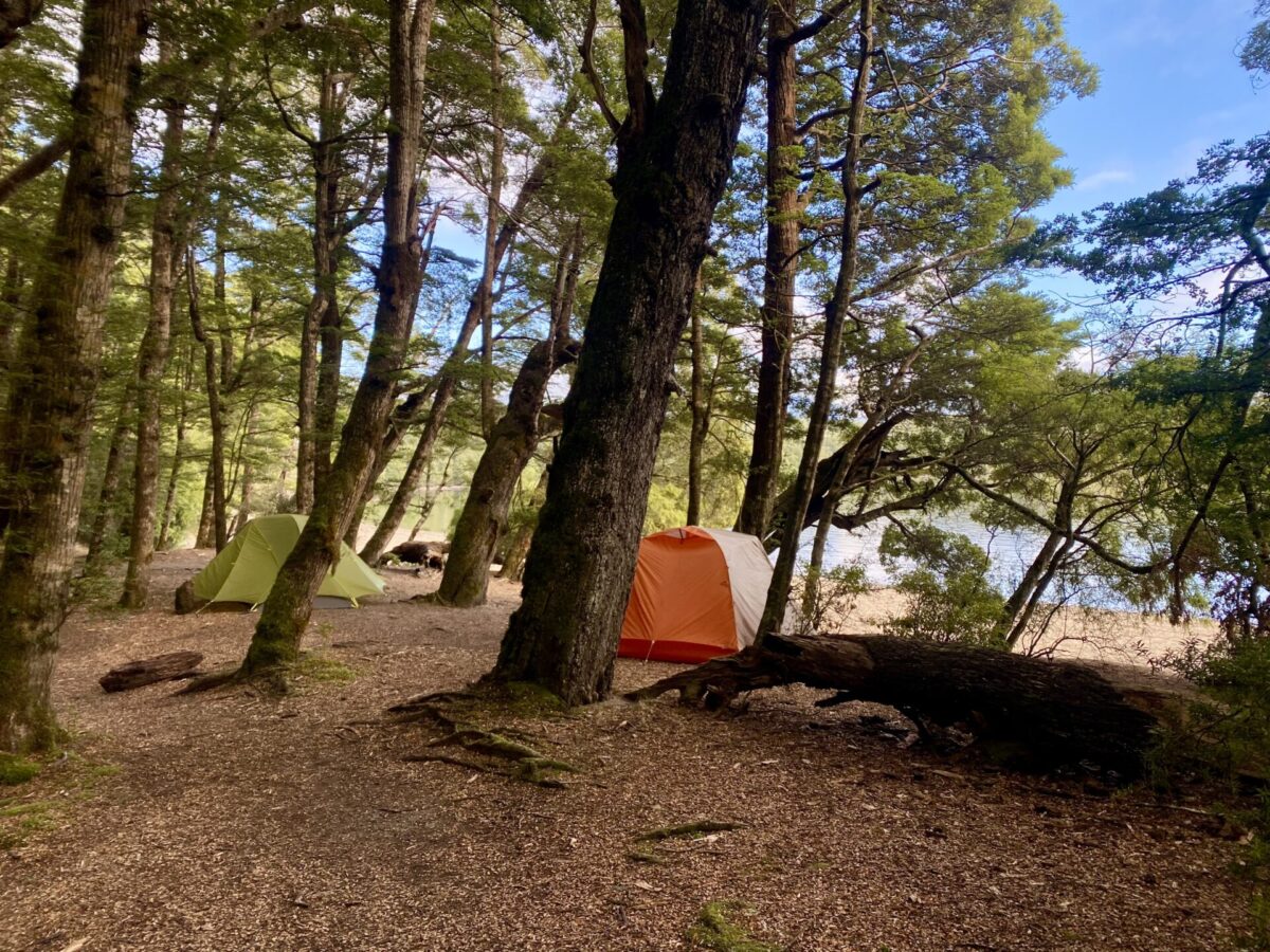 Two tents pitched along Lake Te Anau at the Brod Bay campsite in Fiordland National Park.