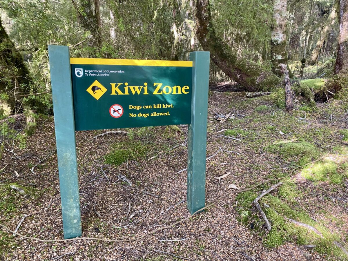A sign at Broad Bay campsite indicating the presence of kiwis in Fiordland National Park.