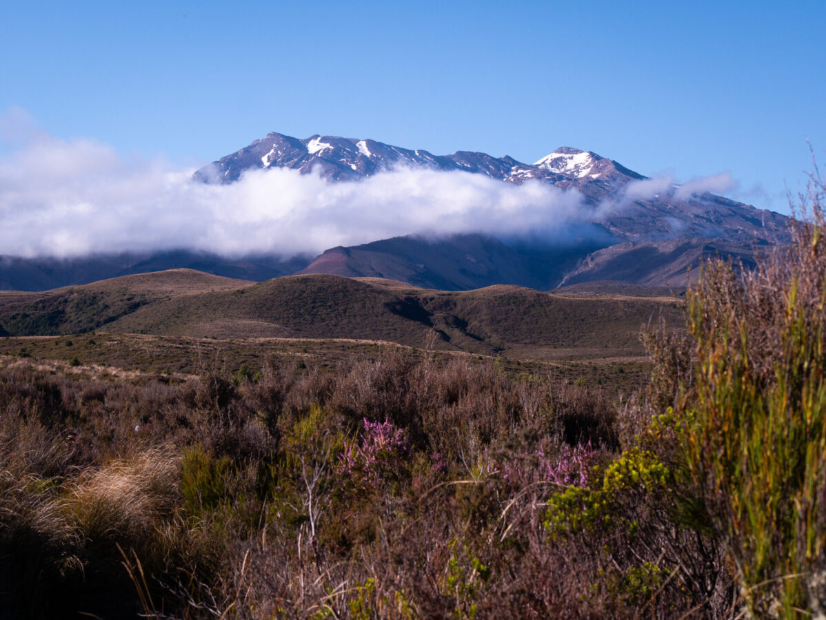 A view of Mount Ruapehu from the beginning of the Tongariro Northern Circuit trail on New Zealand's North Island.