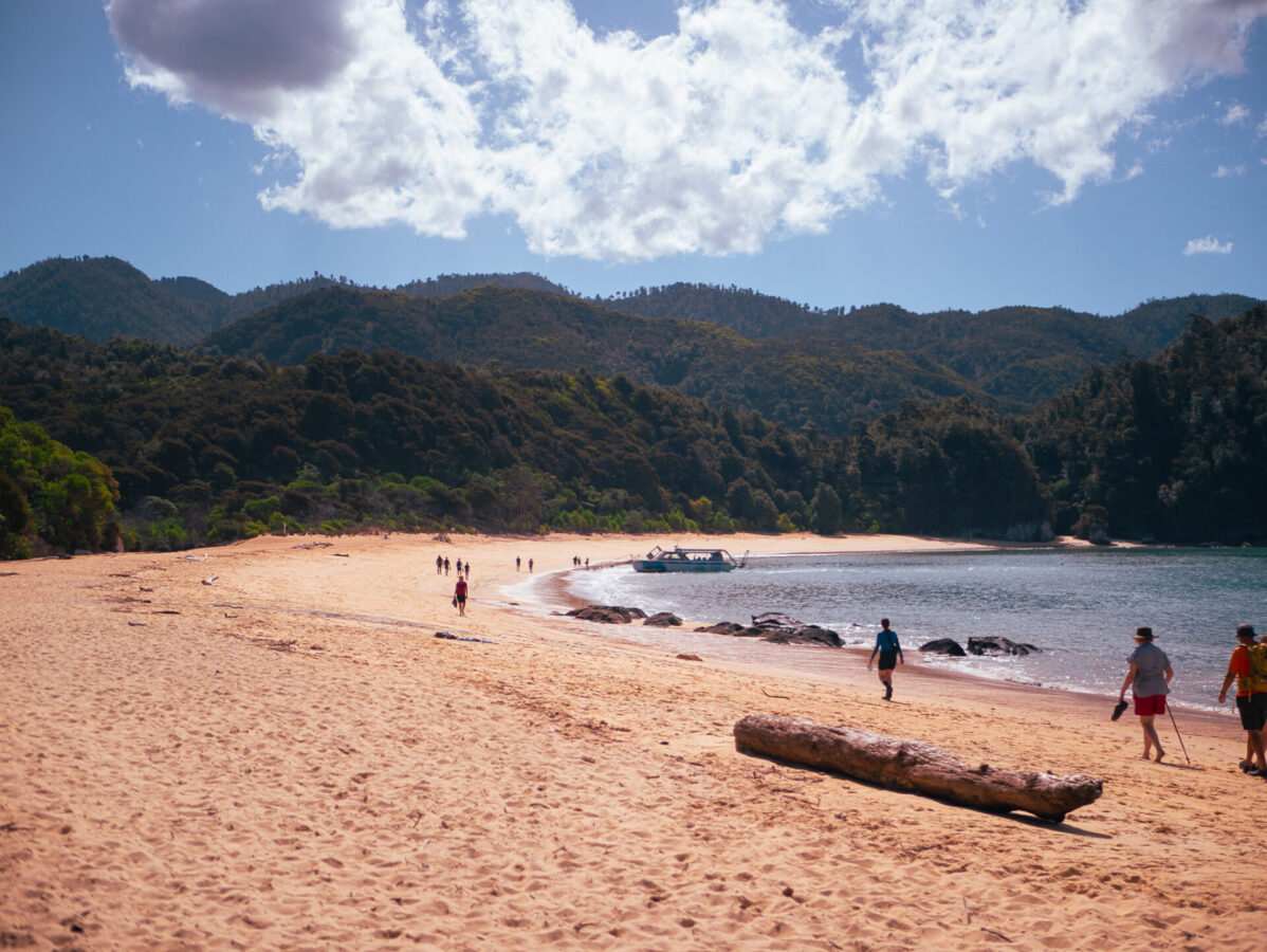 The beach at Anchorage campsite on the Abel Tasman Track.