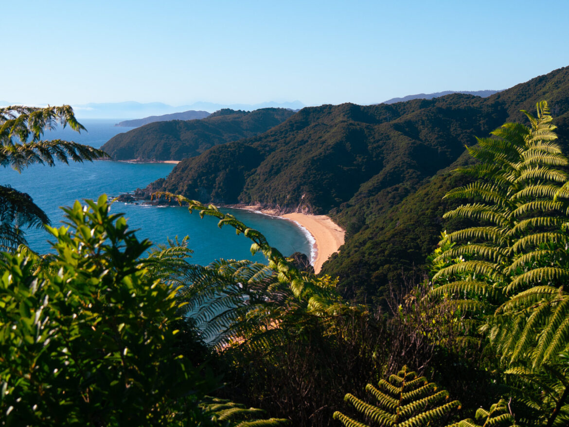 The Abel Tasman Track: Everything You Need To Know About New Zealand’s Most Lush Great Walk