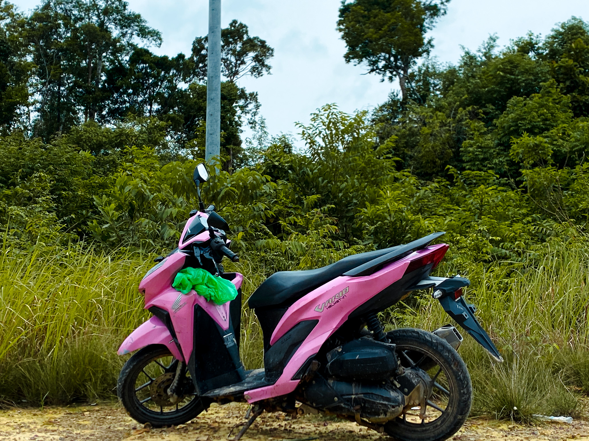 A hot pink motorbike parked near the jungle on Koh Rong, Cambodia.