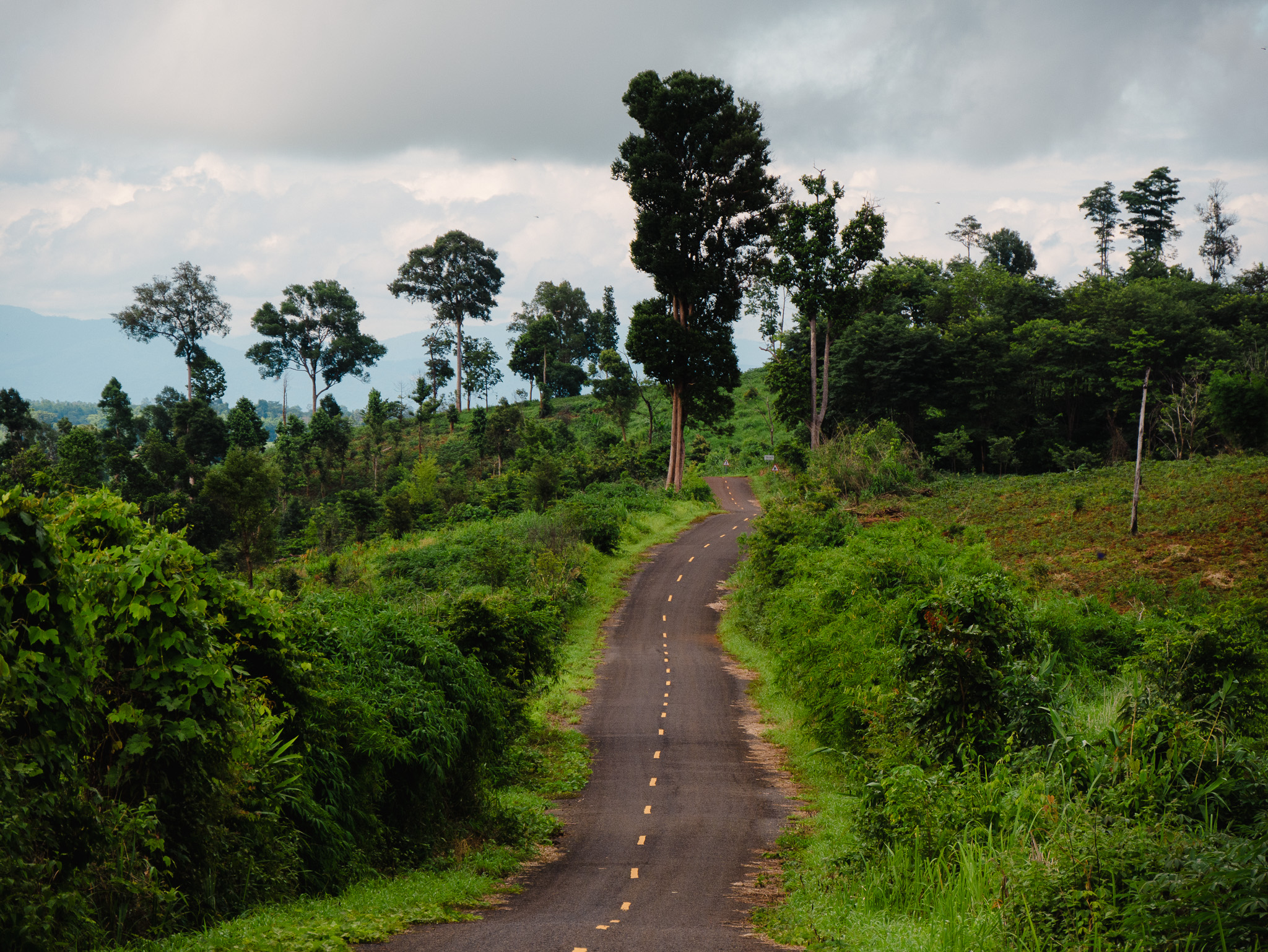 Rural mountain scenery along the Bolaven Plateau Loop in southern Laos.